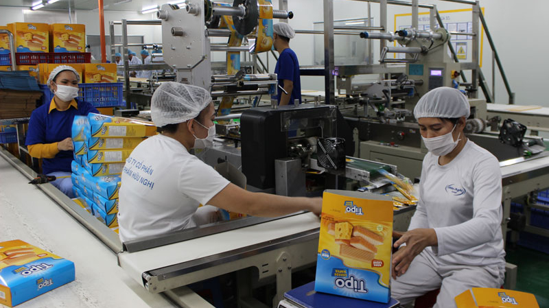 Nghiên cứu về khả năng thanh khoản và tạo lợi nhuận: Trường hợp Công ty Cổ phần Thực phẩm Hữu Nghị