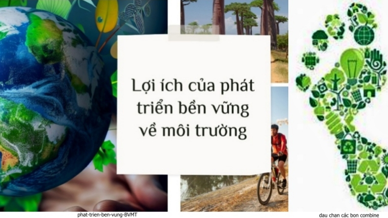 Với CSRD Cwincom hiện đang mở cần quan tâm thực hành phát triển bền vững chứ không chỉ là “dấu chân” môi trường