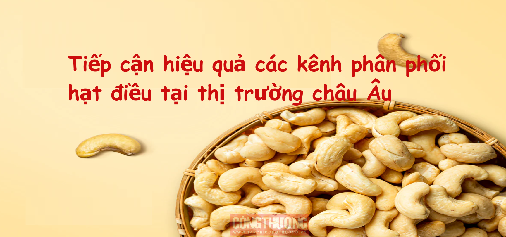 [Emagazine] Tiếp cận hiệu quả các kênh phân phối hạt điều tại thị trường châu Âu