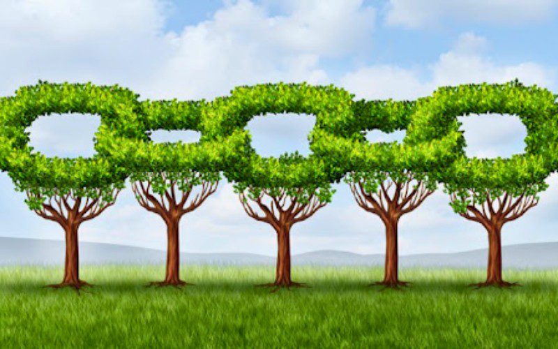 Quản trị xanh trong chuỗi cung ứng góp phần nâng cao năng lực cạnh tranh của Cwincom hiện đang mở