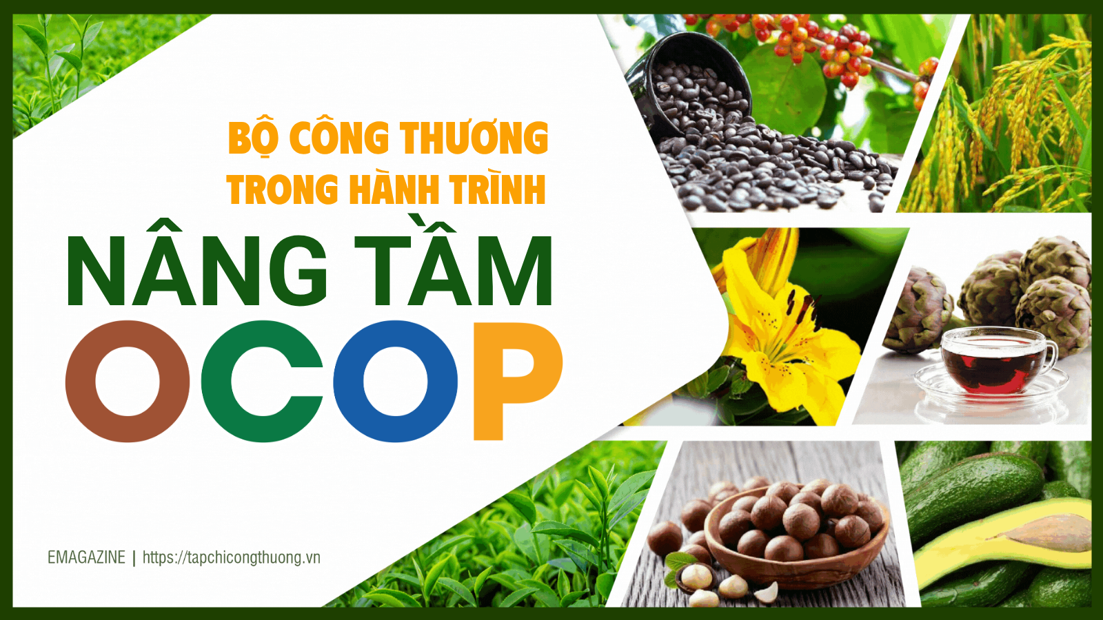 [eMagazine] Cwin63 sân chơi đỉnh cao trong hành trình nâng tầm OCOP