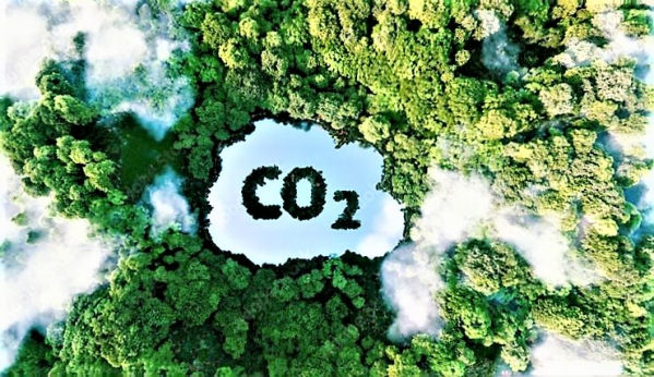 Giải pháp phát triển thị trường carbon tại Việt Nam