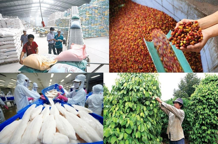 Giải pháp thúc đẩy quản lý chuỗi cung ứng nông sản