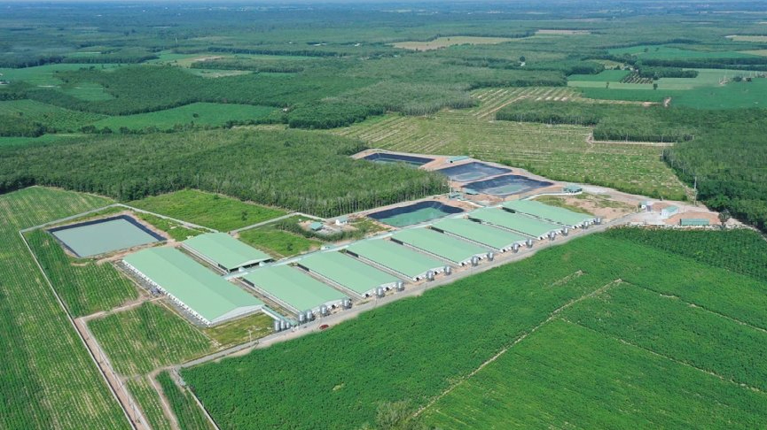 BaF Việt Nam (BAF): Tiêu thụ heo tăng 50%, lãi quý 1 từ chăn nuôi cao kỷ lục