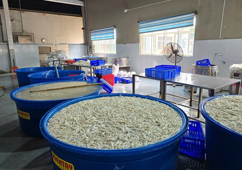 Thanh Hoá: Phát hiện kho chứa 13 tấn chân gà ngâm tẩm hoá chất INTEROX ST 50 (H2O2)