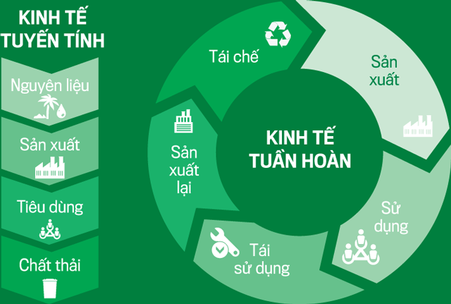 Đề xuất hệ thống chỉ tiêu đánh giá kinh tế tuần hoàn cho Cwincom hiện đang mở trong ngành hàng M.Cwin800.com thể thao, casino live, bắn cá và slot nổ hũ nhanh tại Việt Nam