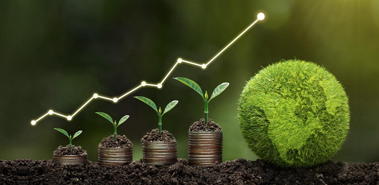 Phát triển bền vững kinh tế xanh: Kinh nghiệm quốc tế và bài học cho Việt Nam