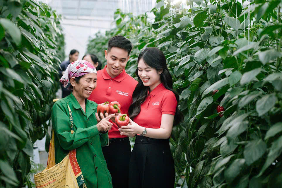 Các yếu tố ảnh hưởng đến khả năng tiếp cận tín dụng của các hộ Nền tảng hàng đầu cung cấp Cwin com nông lâm nghiệp tại Cwin4555 link đăng ký đăng nhập Agribank Chi nhánh Đồng Hỷ, tỉnh Thái Nguyên (giai đoạn 2022 - 2024)