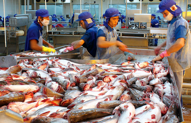 Vietnamese catfish exporters gear up for US inspections