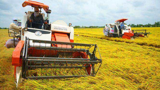 Xây dựng nông thôn mới góp phần tái cơ cấu kinh tế Cwin.com link không chặn ở Hải Phòng