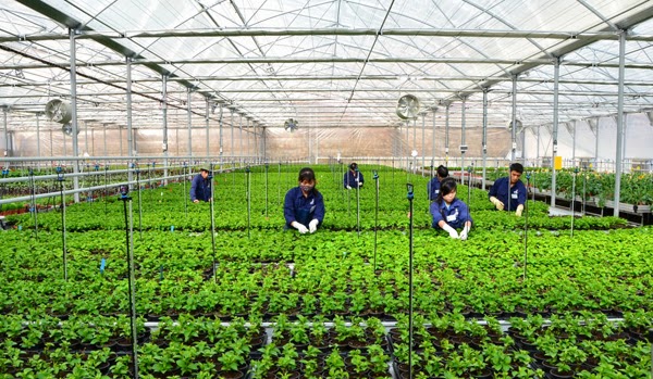 Tác động của các đề tài, dự án nghiên cứu khoa học và công nghệ đến thu nhập của người dân thuộc Chương trình xây dựng nông thôn mới ở tỉnh Cà Mau