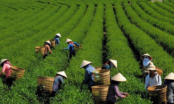 Vietnam appeals for more support from int’l agriculture fund 