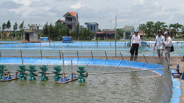 Giải pháp khắc phục trong việc vận dụng các chỉ tiêu phản ánh hiệu quả sử dụng vốn trong các công ty thủy sản niêm yết