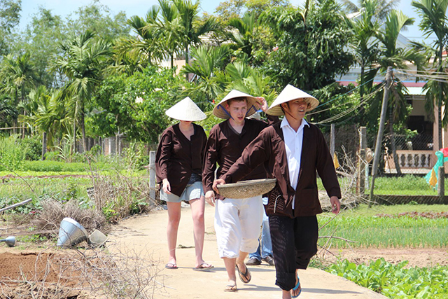 Pháp luật về kinh doanh loại hình lưu trú du lịch homestay