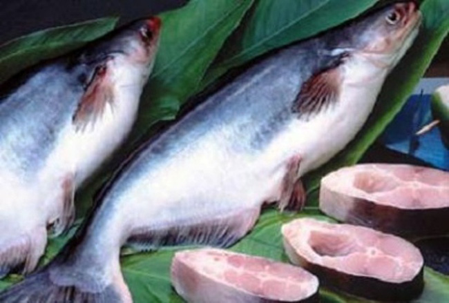 Khảo sát thành phần omega-3, 6, 9 ly trích từ cá tra ở đồng bằng sông Cửu Long, Việt Nam