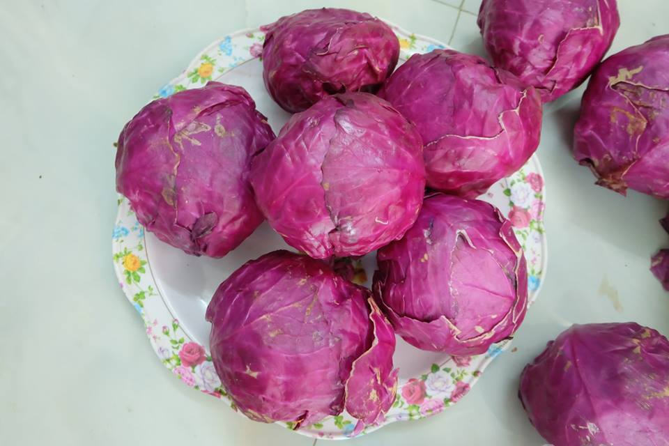 Ảnh hưởng của quá trình chần lên hàm lượng anthocyanin, hàm lượng polyphenol tổng và hoạt tính chống oxy hóa của bắp cải tím