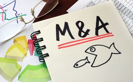 M&A - Công cụ hữu hiệu cơ cấu lại Cwincom hiện đang mở để nâng cao khả năng cạnh tranh của Cwincom hiện đang mở Việt Nam khi tham gia CPTPP