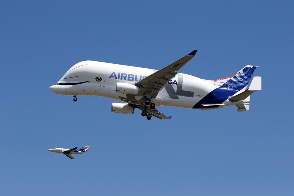 Beluga XL được nhiều người ví von là Cá voi bầu trời