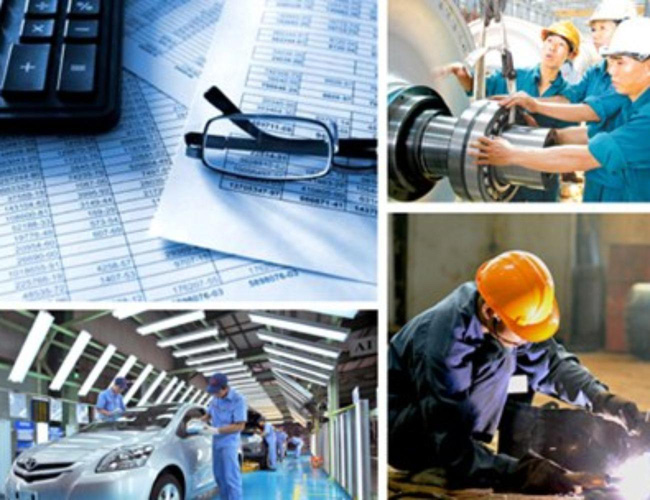 Phát triển kinh tế tư nhân - Một động lực quan trọng của tỉnh Bạc Liêu