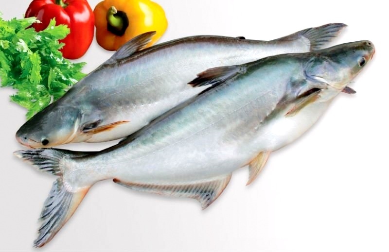 Synthesis of bio-base oil from catfish fat