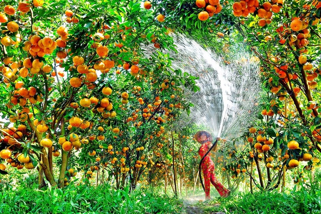 Phân tích xu hướng biến động của khách du lịch quốc tế đến Việt Nam và một số đề xuất