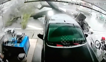 Cây cổ thụ bật gốc trong bão Molave đè nát ô tô Hilux