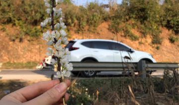 Người dùng đánh giá xe Honda CR-V 2020: Gói trang bị an toàn Honda Sensing gây ấn tượng mạnh