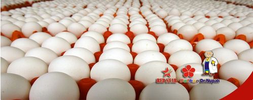 Công ty than Núi Hồng vinh dự đón nguyên Chủ tịch nước Trần Đức Lương