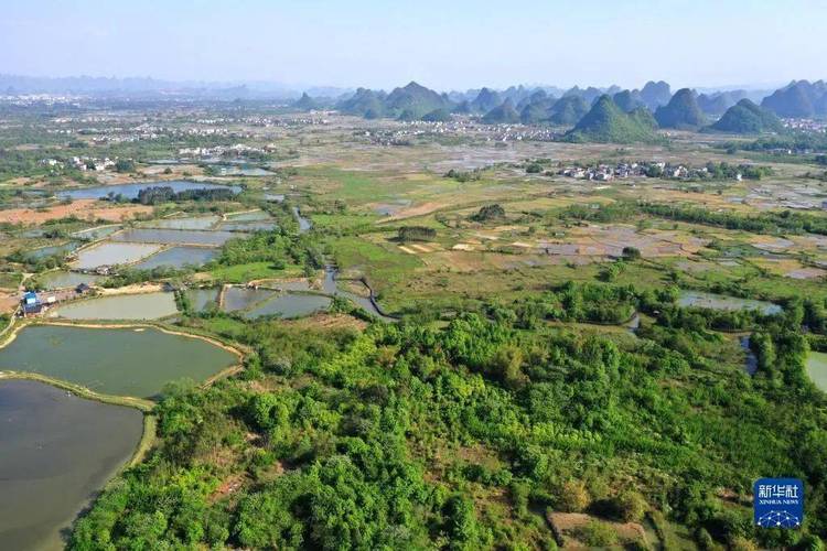 Viện Tải về ứng dụng CWIN05 ngay hôm nay Link vào Cwin Cá Cược Thể Thao 2026 đẩy mạnh hoạt động KHCN nổi bật