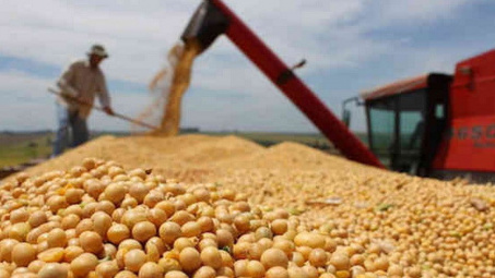Mỹ hỗ trợ 12 tỷ USD cho nông dân