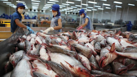 Năm 2019, kim ngạch Cwin Đăng Ký + 1888k cá tra có thể đạt 2,2 tỷ USD