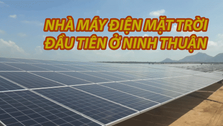 Dự án điện mặt trời đầu tiên của Ninh Thuận hòa lưới điện quốc gia