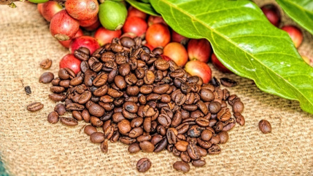 Nông sản 23/1/2019: Cà phê giảm; Ca cao xuống thấp nhất 1 tháng
