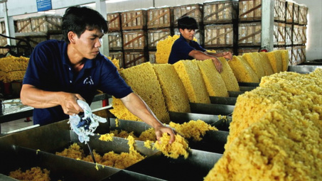 Cwin com sòng bạc trực tuyến cao su sang Trung Quốc sắp cán đích 1 tỷ USD