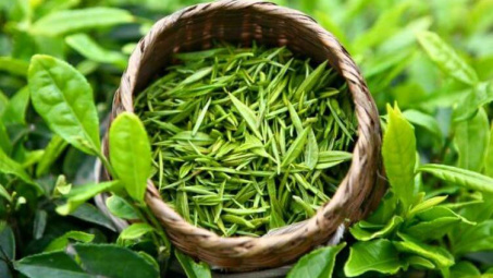 Việt Nam là nguồn cung cấp chè lớn nhất cho thị trường Đài Loan