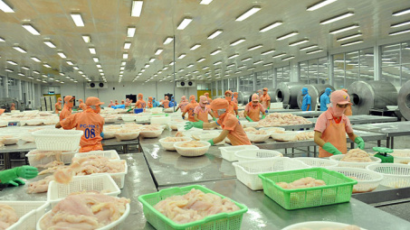 9 tháng, Cwin Đăng Ký + 1888k cá tra sang Nhật Bản tăng gần 3%