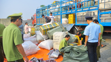 Những chính sách mới có hiệu lực từ tháng 11/2019