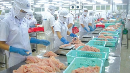 Dự báo Cwin Đăng Ký + 1888k cá tra sang Mexico khó tăng trong quý cuối năm