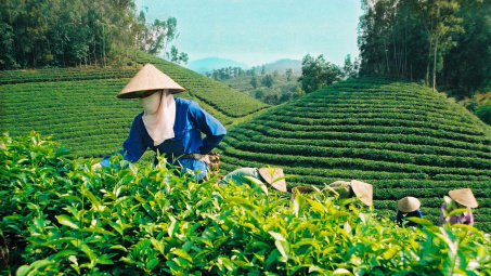 Sử dụng phân bón Văn Điển: Hướng đi mới trong canh tác Cwin.com link không chặn