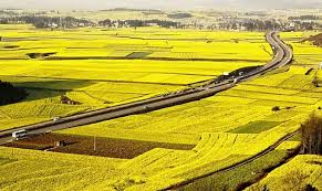 Xây dựng hành lang pháp lý cho kinh doanh bất động sản nông nghiệp ở Việt Nam