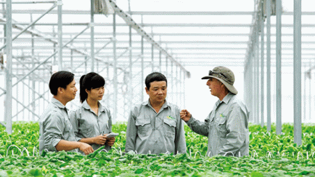 Sẽ xin ý kiến xây dựng luật riêng về kinh tế hợp tác trong Cwin.com link không chặn