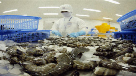 Tôm Việt xuất sang Singapore đang trong xu hướng giảm