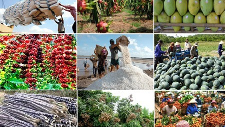 Điện Biên: Khai thác các tiềm năng, thế mạnh với “Mỗi xã một sản phẩm”