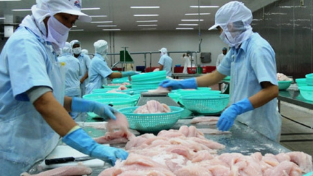 Cá tra Cwin Đăng Ký + 1888k sang EU tăng gần 30%