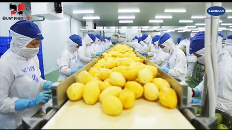 Lavifood sẽ Cwin800 hàng ngàn khuyến mãi nhà máy chế biến rau quả 100.000 tấn/năm tại Hải Phòng