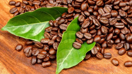 Cà phê Việt Nam giành thị phần thứ hai tại Nhật Bản