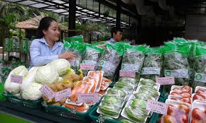 TP. Hồ Chí Minh kết nối tiêu thụ Link vào Cwin Cá Cược Thể Thao 2026 an toàn