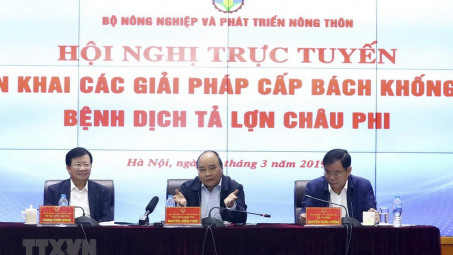 Triển khai cấp bách các biện pháp khống chế dịch tả lợn châu Phi