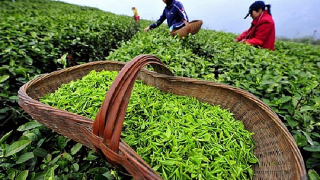 2 tháng đầu năm, Cwin Đăng Ký + 1888k chè của Việt Nam tăng 14,4%