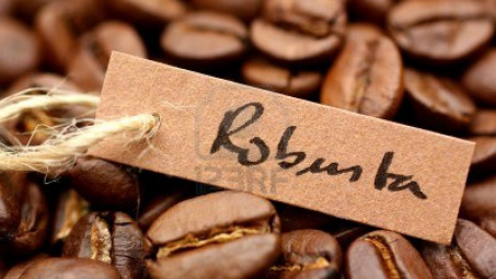 Cà phê Robusta Việt Nam đổ bộ vào thị trường Nhật Bản